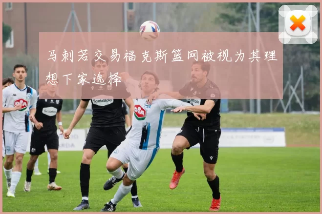 马刺若交易福克斯篮网被视为其理想下家选择