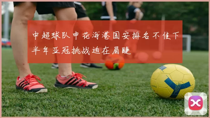 中超球队申花海港国安排名不佳下半年亚冠挑战迫在眉睫